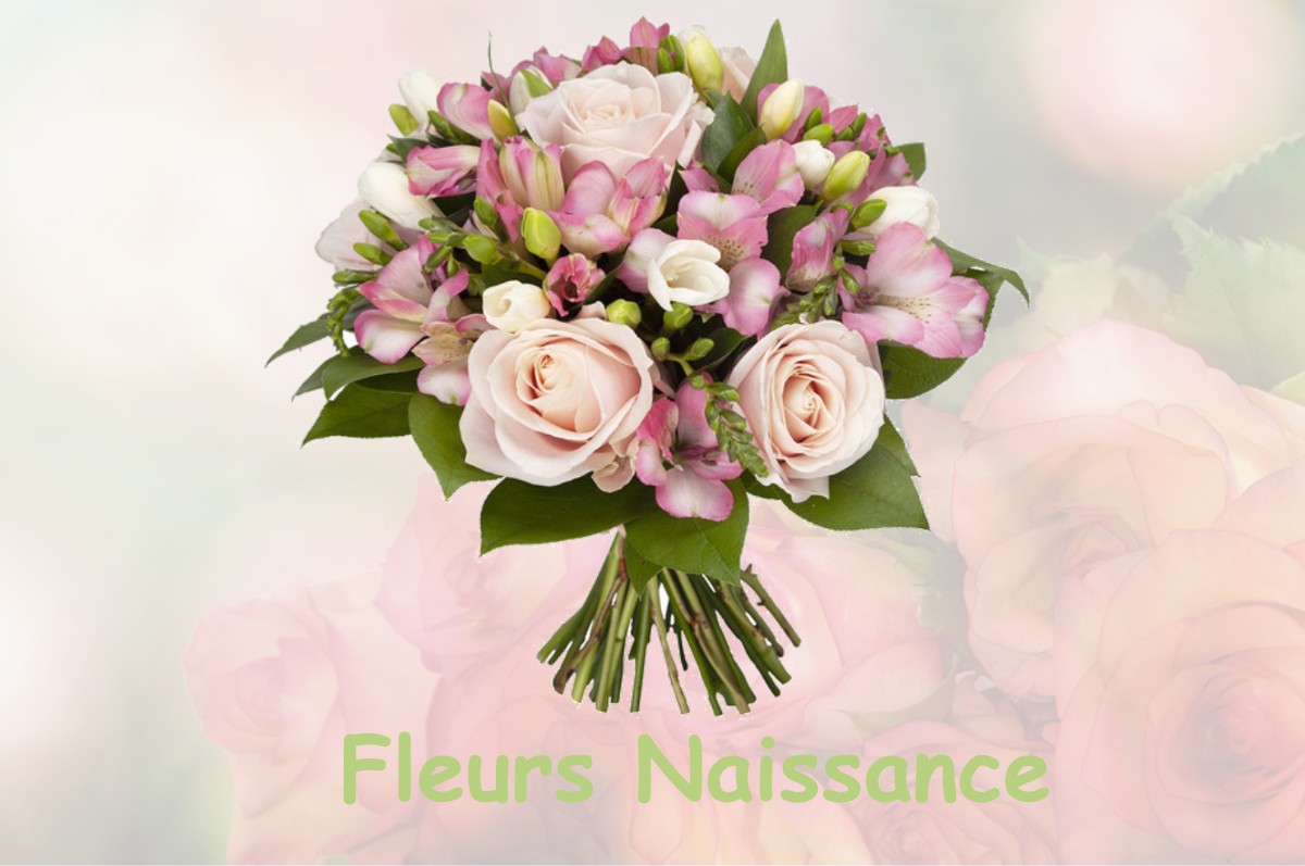 fleurs naissance CHALONNES-SUR-LOIRE